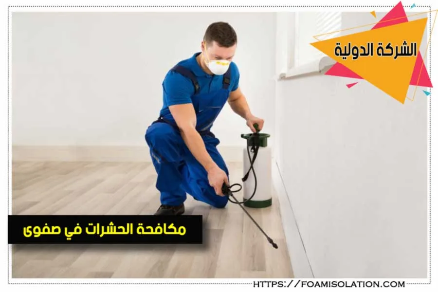 مكافحة حشرات بصفوى