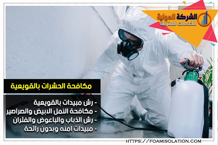 شركة مكافحة الحشرات بالقويعية