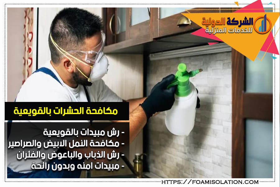 شركة رش مبيدات بالقويعية