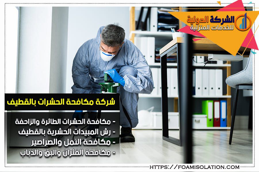 شركة مكافحة حشرات بالقطيف