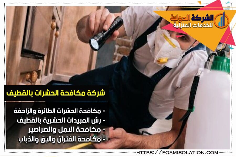 شركة مكافحة الحشرات بالقطيف