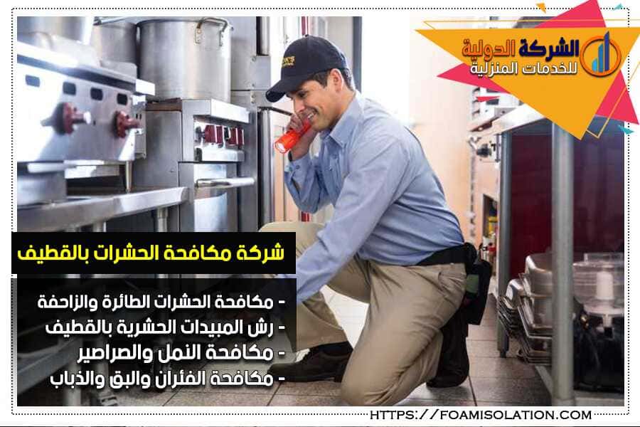 شركة مكافحة حشرات في القطيف