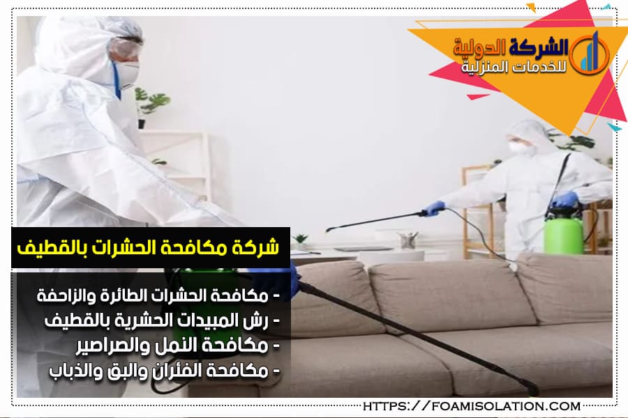 شركة رش حشرات بالقطيف