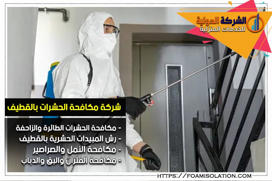 مكافحة الحشرات المنزلية بالقطيف