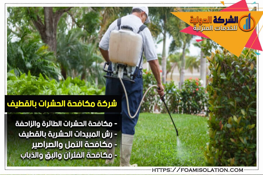 شركة رش مبيد في القطيف