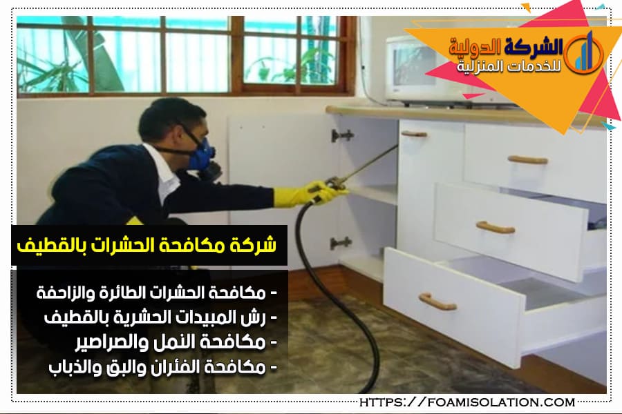 شركة مكافحة الصراصير بالقطيف