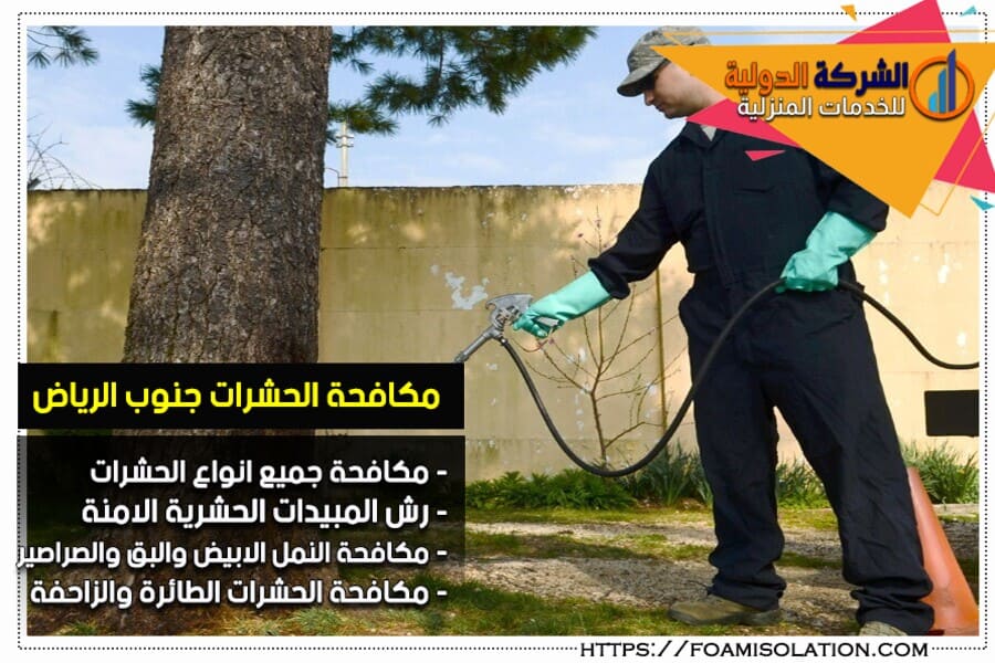 شركة رش حشرات جنوب الرياض