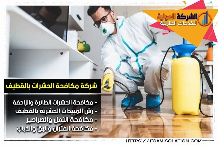 شركة مكافحة حشرات بالقطيف