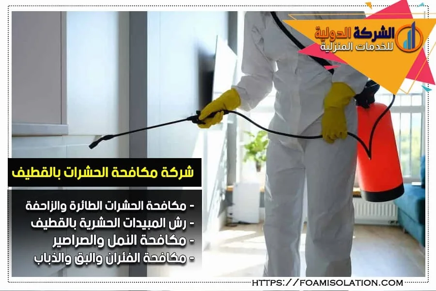 شركة رش مبيدات بالقطيف