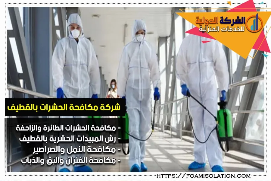 شركة رش المبيدات بالقطيف
