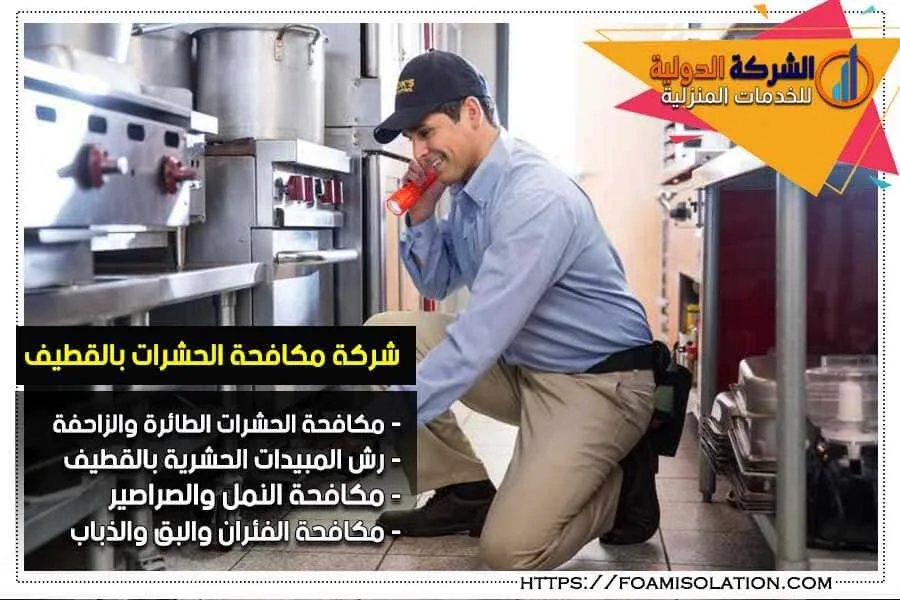 شركة مكافحة حشرات في القطيف