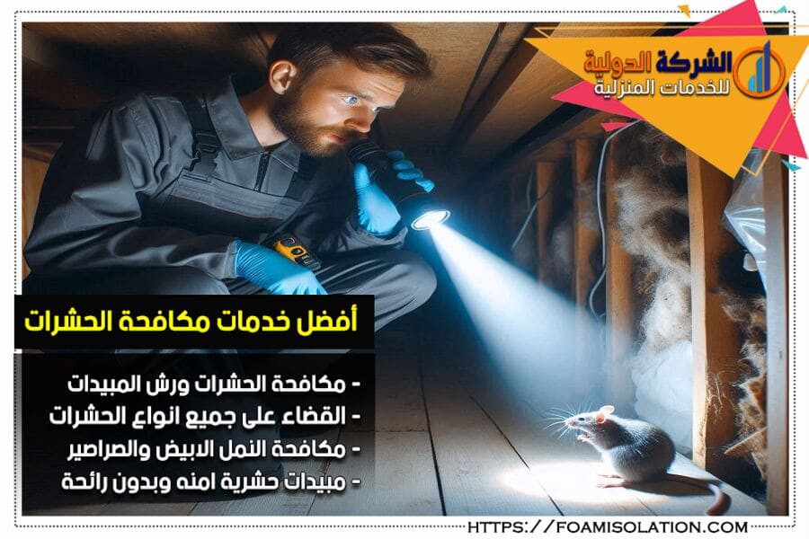مكافحة الحشرات والفئران بالمطابخ في الرياض