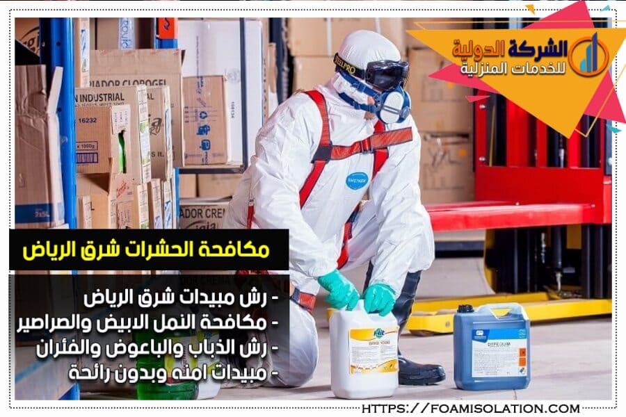 مكافحة حشرات شرق الرياض