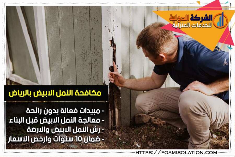 اضرار النمل الابيض على الخشب