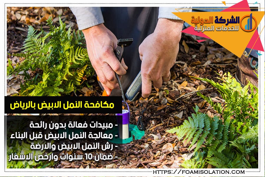 معالجة النمل الابيض بالرياض