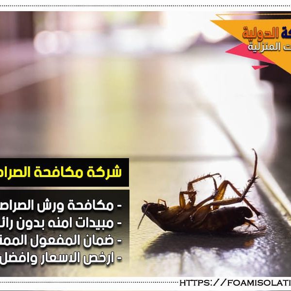 شركة مكافحة الصراصير بالرياض شركة مكافحة الصراصير بالرياض