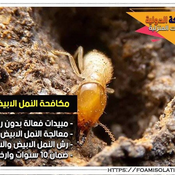 شركة مكافحة النمل الابيض بالرياض شركة مكافحة النمل الابيض بالرياض