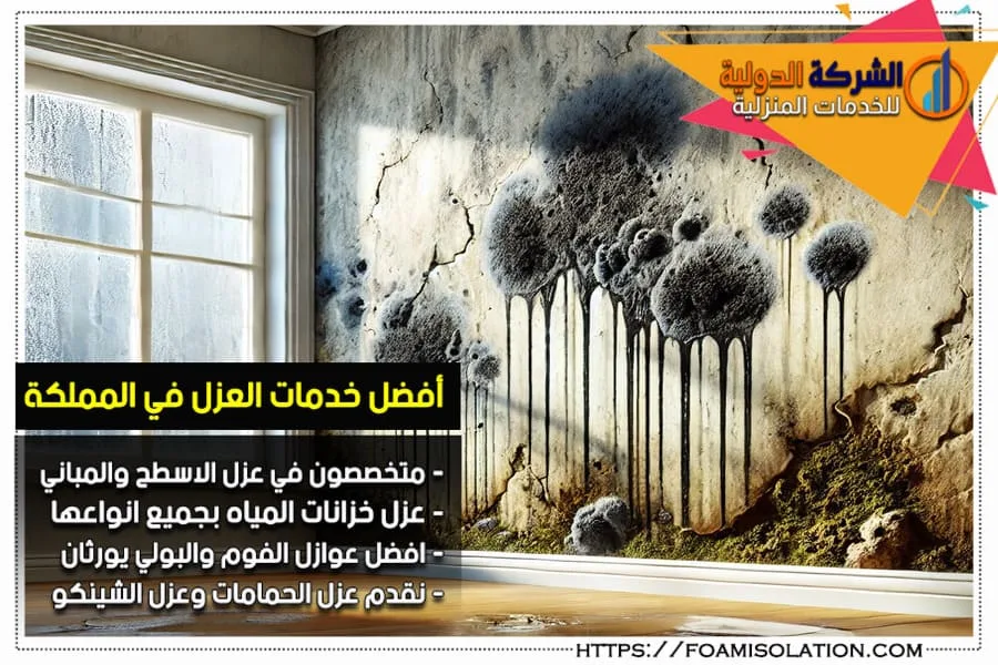 طريقة عزل الجدران من الرطوبة
