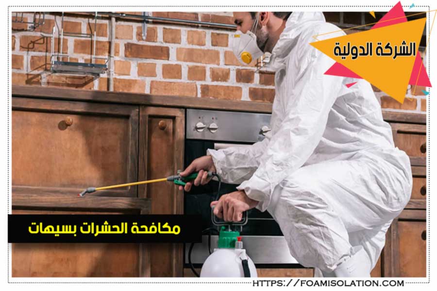 مكافحة الحشرات بسيهات