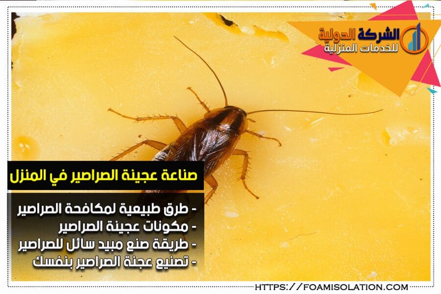 طريقة صنع عجينة مكافحة الصراصير بالمنزل
