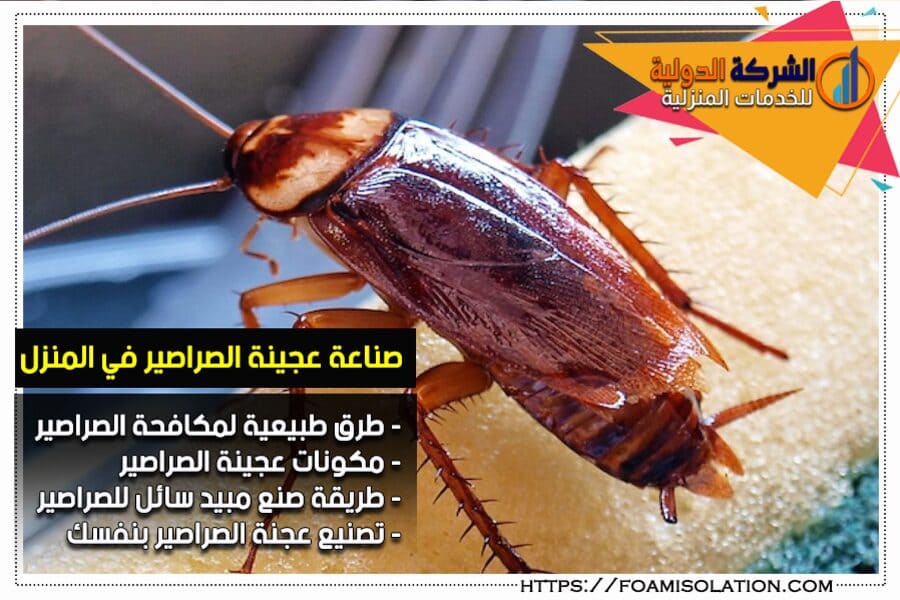 كيف تصنع عجينة مكافحة الصراصير بنفسك في المنزل