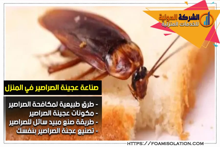 طريقة عمل عجينة مكافحة الصراصير