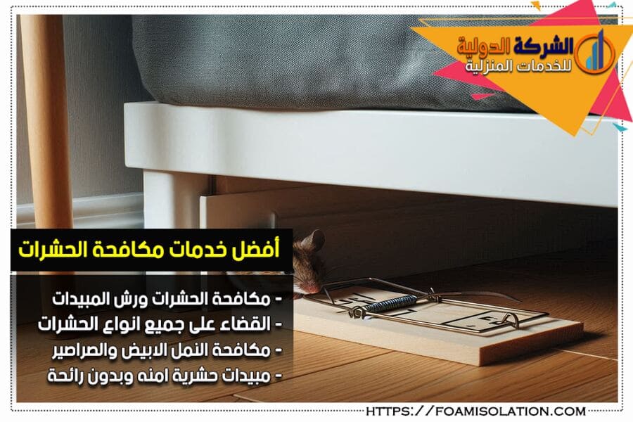 شركة مكافحة فئران في الدمام