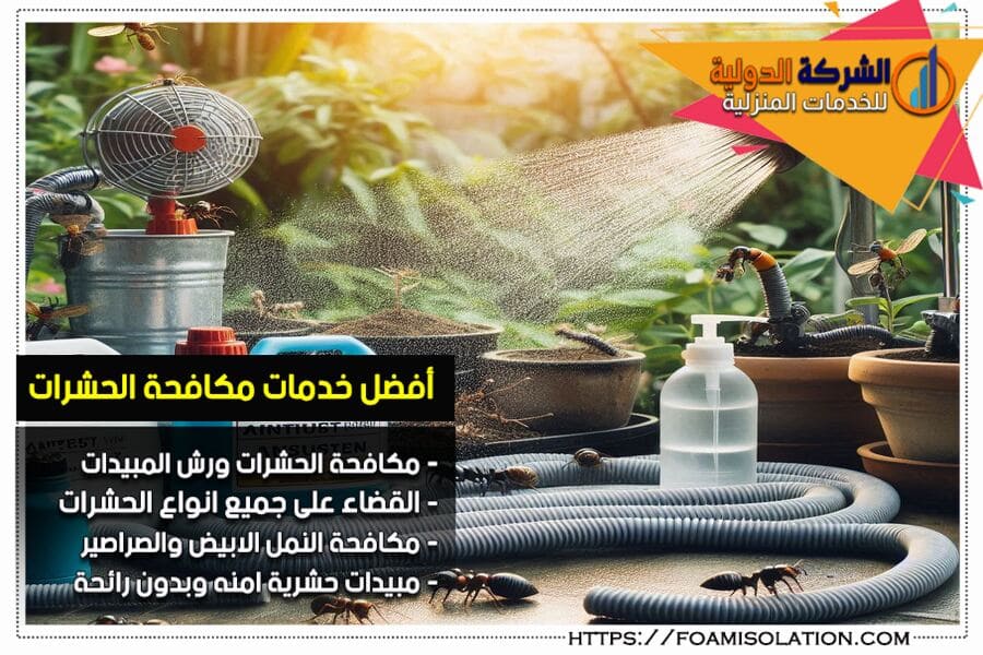 شركة مكافحة النمل الابيض بالدمام