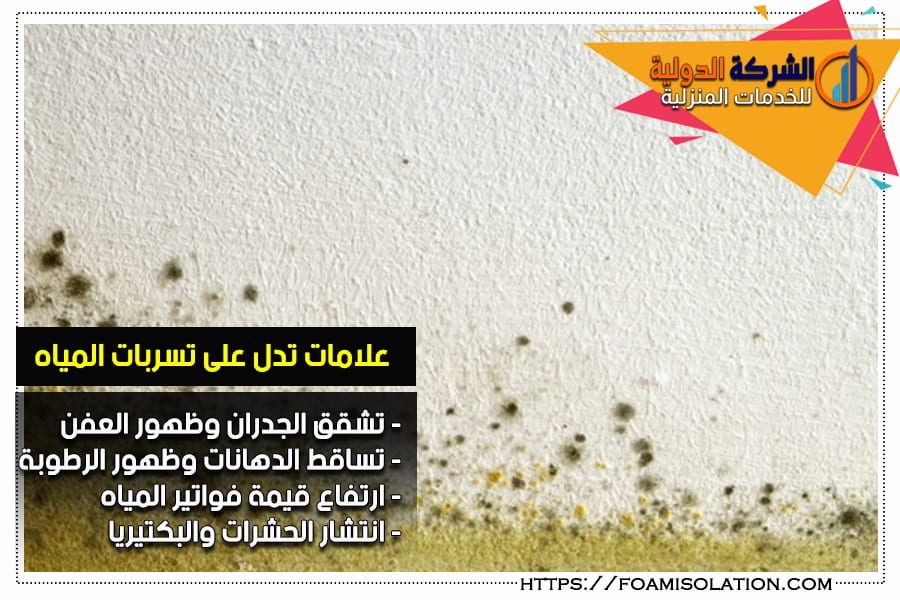 عفن الجدران من مظاهر تسربات المياه