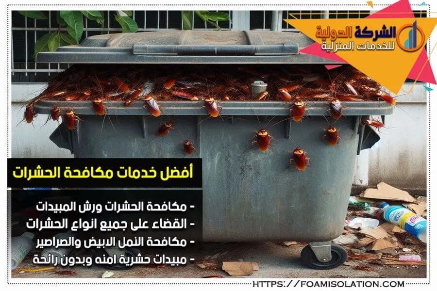 أنواع الصراصير المنزلية و6 أنواع بودرة للقضاء عليها نهائيا