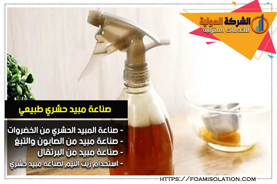 طريقة صناعة مبيد طبيعي للقضاء على النمل الأبيض