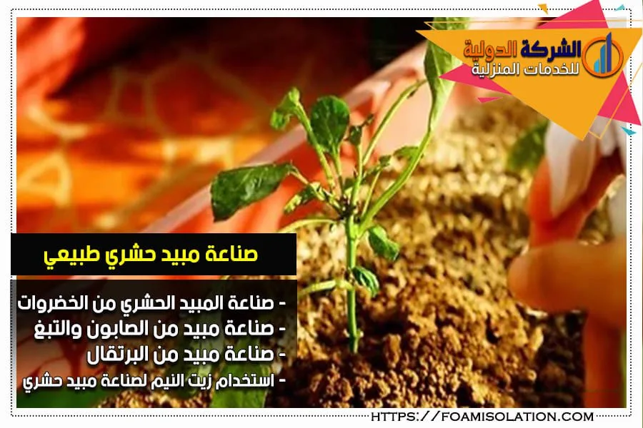 كيف تصنع مبيد حشري طبيعي