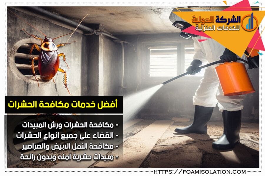 كيفية التخلص من الصراصير نهائياً في 3 خطوات فعّالة ومجربة