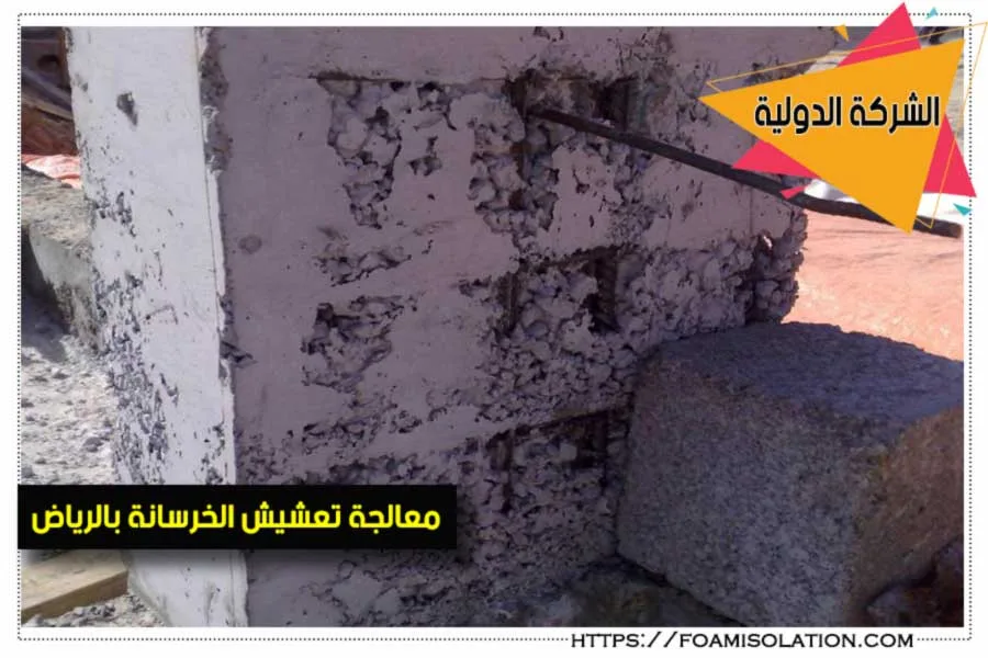 شركة معالجة تعشيش الخرسانة بالرياض