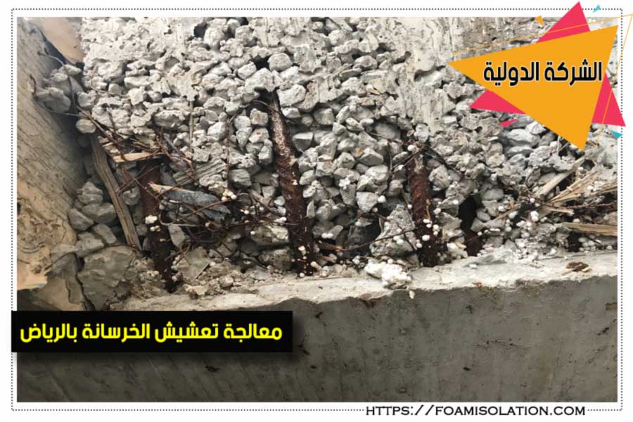 معالجة تعشيش الخرسانة بالرياض