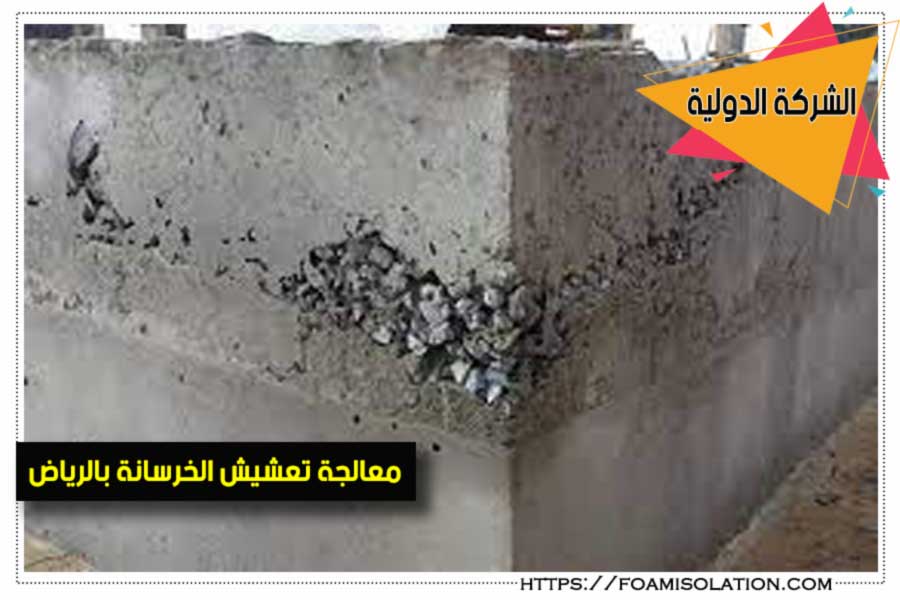 معالجة التعشيش في الخرسانة بالرياض